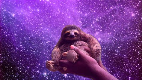 space sloth background